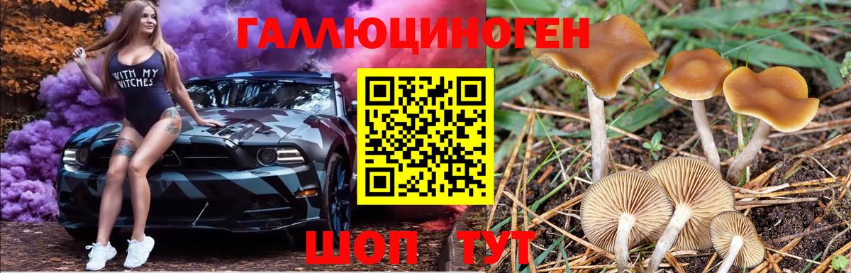 Галлюциногенные грибы ЛСД Лениногорск